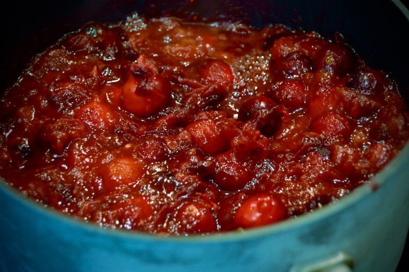 Boiling Cranberries for an unsweetened sauce experience